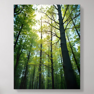 Forest Print Acrylic Photo Tile
