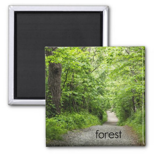 Forest Refrigerator Magnet