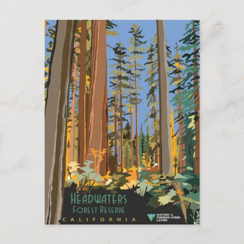 Forest Reserve Postcard