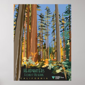 Forest Reserve Poster by marainey1 at Zazzle