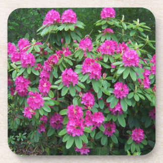 Forest Rhododendron Drink Coaster