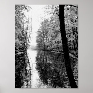 Forest River Black And White Poster