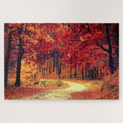 Forest Road _ Autumn _ Beautiful Season _ Fall Jigsaw Puzzle