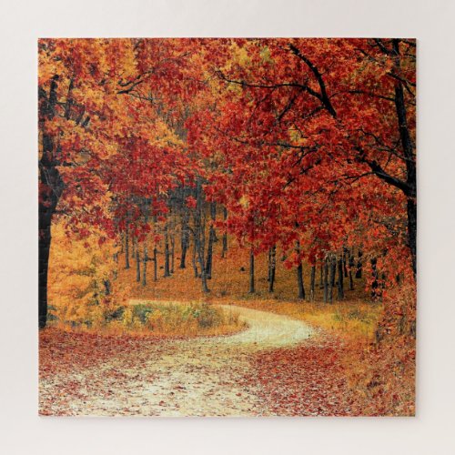 Forest Road _ Autumn _ Beautiful Season Jigsaw Puzzle