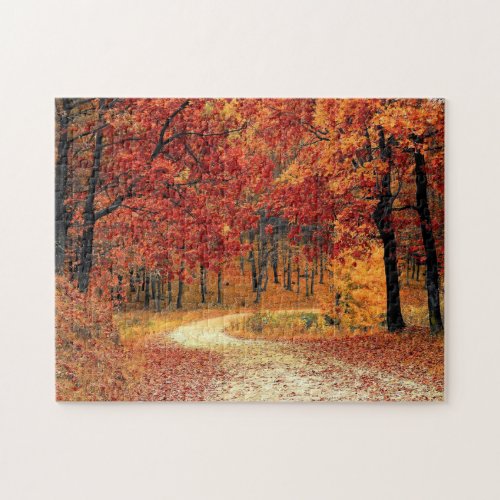 Forest Road _ Fall _ Beautiful Autumn Jigsaw Puzzle