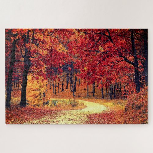 Forest Road _ Fall _ Beautiful Jigsaw Puzzle