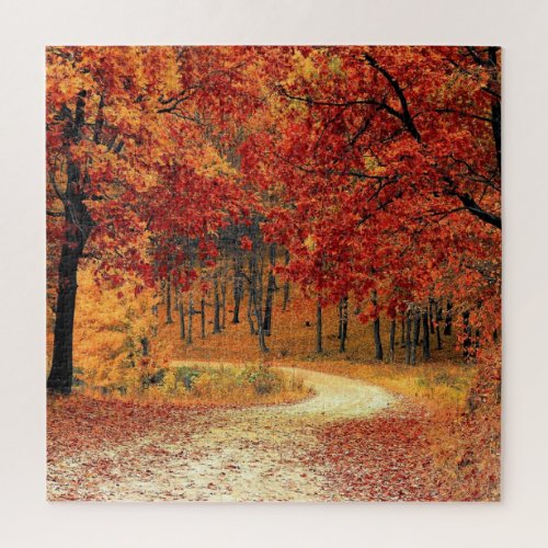Forest Road _ Fall _ Beautiful Jigsaw Puzzle