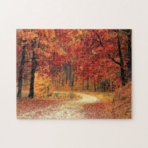 Forest Road _ Fall Jigsaw Puzzle