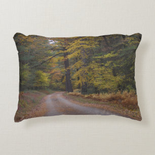 "Forest Road in Autumn" Accent Pillow