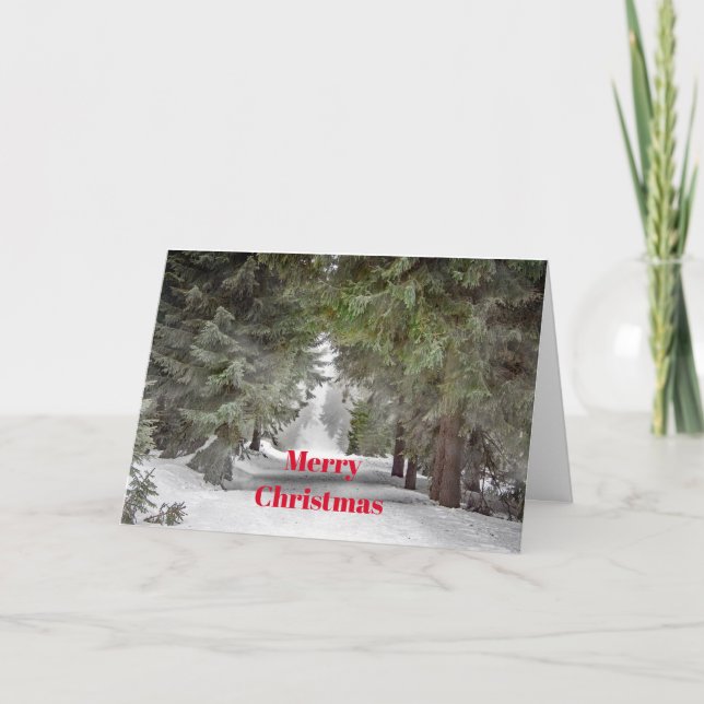Forest Road Snow Pine Trees Photo Christmas Holiday Card (Front)