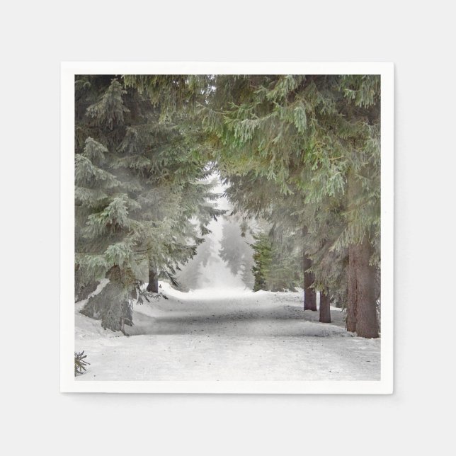 Forest Road Snow Pine Trees Photo Napkins (Front)