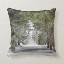 Forest Road Snow Pine Trees Photo