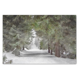 Forest Road Snow Pine Trees Photo Tissue Paper