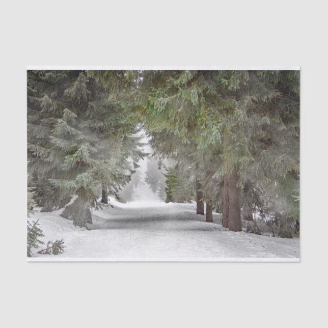 Forest Road Snow Pine Trees Photo Tissue Paper (Front)