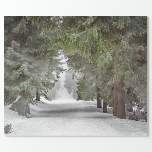 Forest Road Snow Pine Trees Photo Wrapping Paper