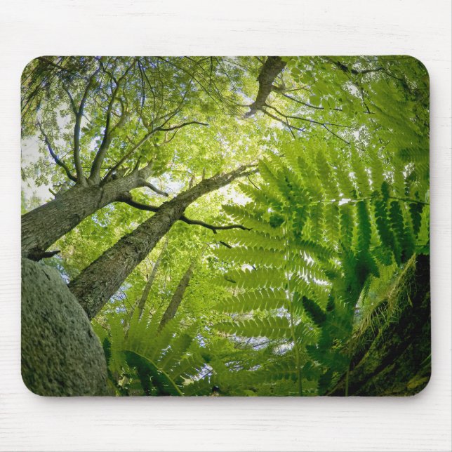 Forest scene in Acadia National Park, Maine. Mouse Pad (Front)