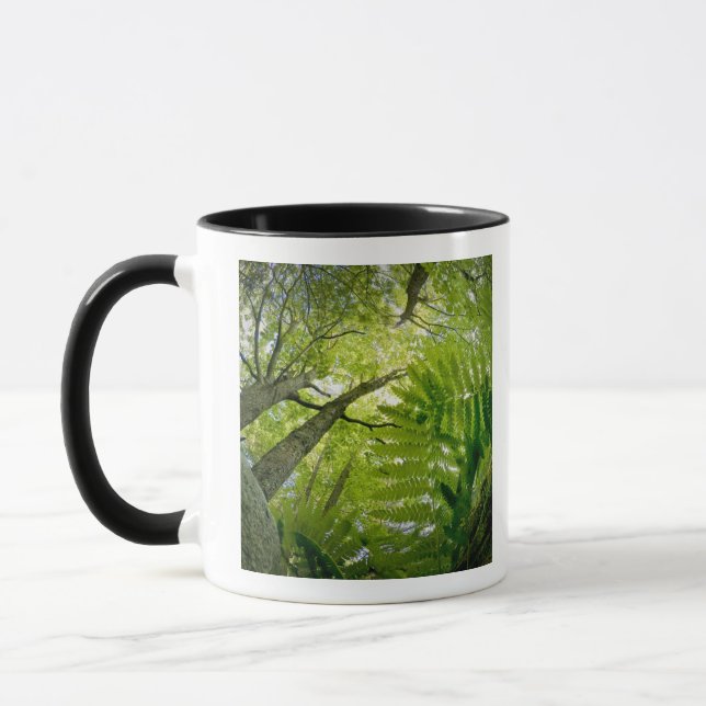 Forest scene in Acadia National Park, Maine. Mug (Left)