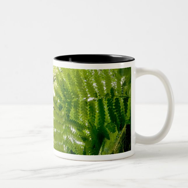 Forest scene in Acadia National Park, Maine. Two-Tone Coffee Mug (Right)