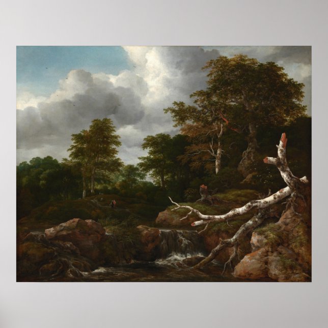 Forest Scene - Jacob van Ruisdael Fine Art Poster (Front)