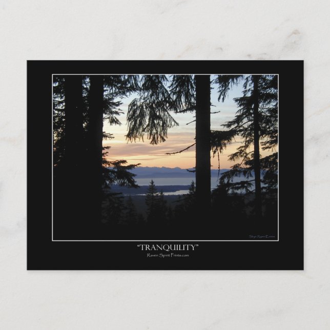 Forest scenery Postcards (Front)