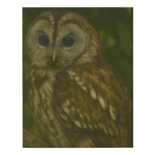 Forest Sentinel – Tawny Owl Wildlife Art Faux Canvas Print