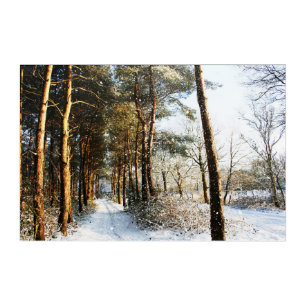 Forest Snow Scene 36x24 (90x60cm) waacna Acrylic Print