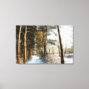 Forest Snow Scene 36x24 (90x60cm) waccna Canvas Print
