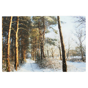 Forest Snow Scene 36x24 (90x60cm) wamecnm Metal Print