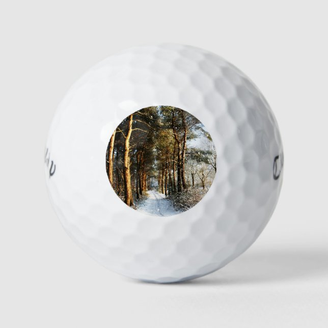Forest Snow Scene cwb gbcna Golf Balls (Front)