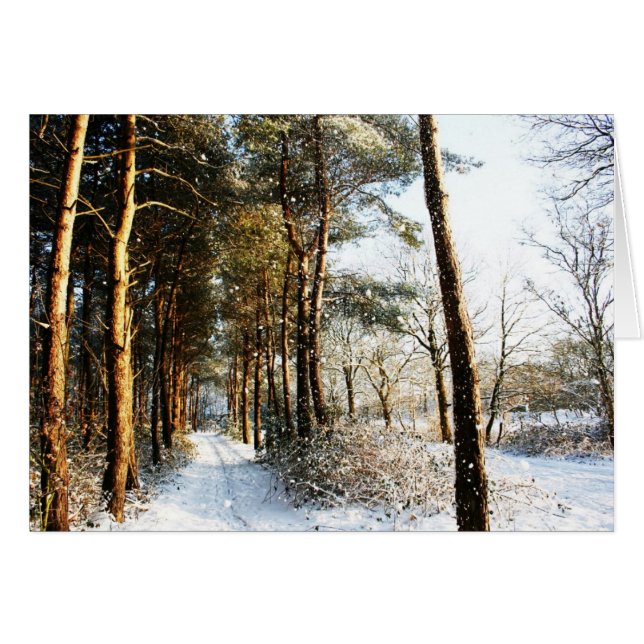 Forest Snow Scene gccnm Cards (Front Horizontal)