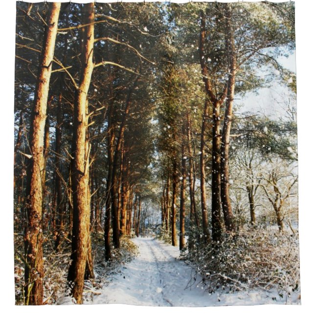 Forest Snow Scene sccna Shower Curtain (Front)