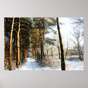 Forest Snow Scene wapcna Poster