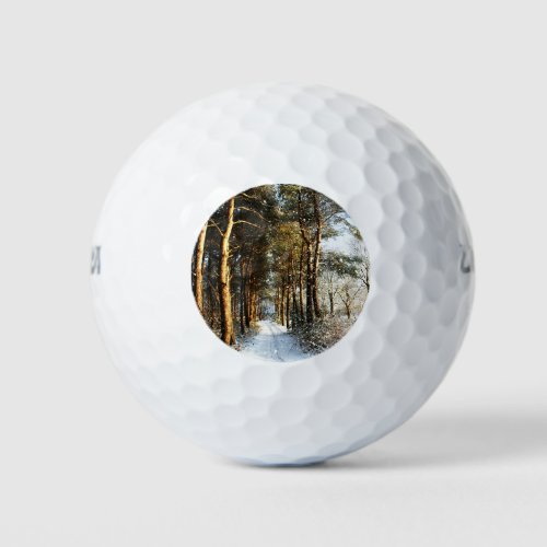 Forest Snow Scene wu gbcnm Golf Balls