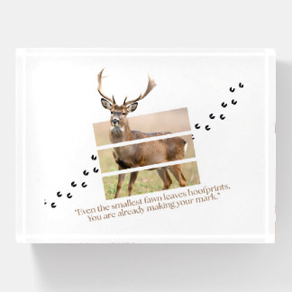 Forest Soul Deer Paperweight