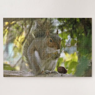 forest squirrel puzzle