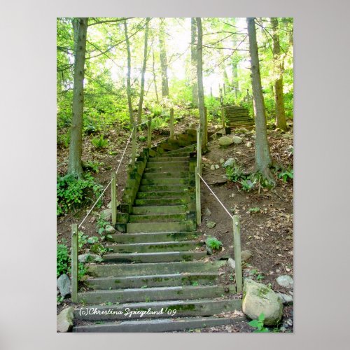 Forest Stairs Path Poster