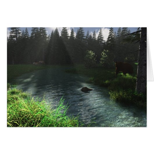 Forest Stream Cards (Front Horizontal)