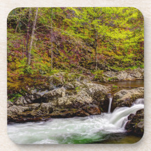 Forest Stream In Great Smoky Mountains Beverage Coaster