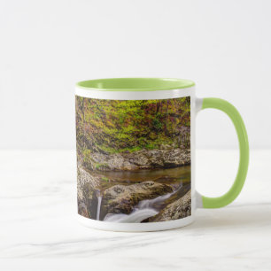 Forest Stream In Great Smoky Mountains Mug