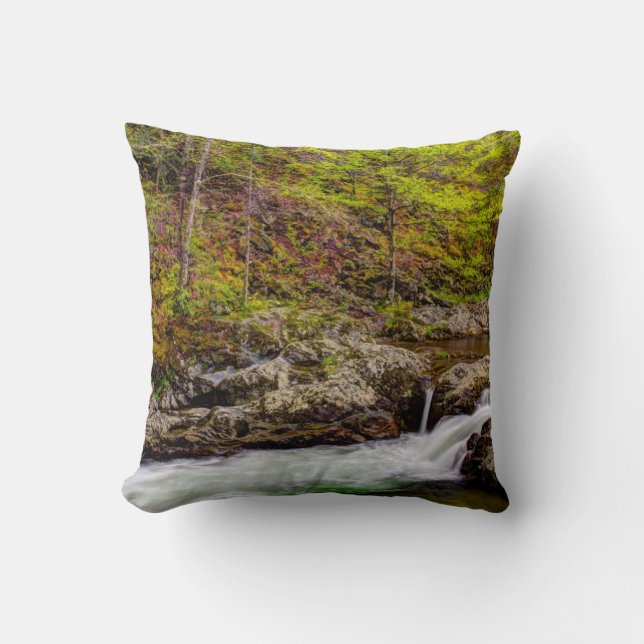 Forest Stream In Great Smoky Mountains Throw Pillow (Front)