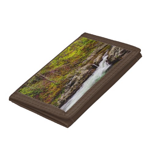 Forest Stream In Great Smoky Mountains Trifold Wallet