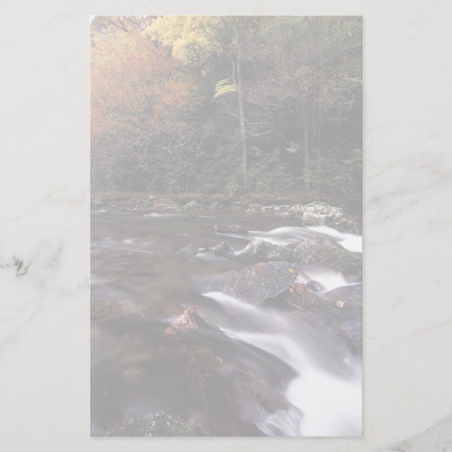 forest stream stationery (Front)