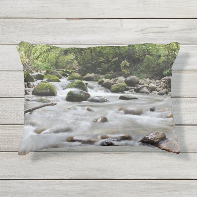 Forest Stream throw pillows (Front)