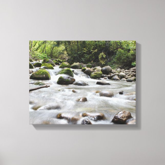 Forest Stream wrapped canvas Print (Front)