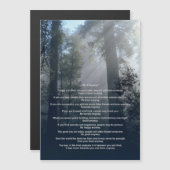 Forest & Sun Do It Anyway (Front/Back)