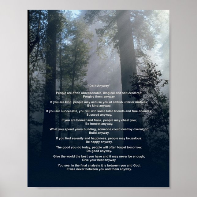 Forest & Sun Do It Anyway Poster (Front)