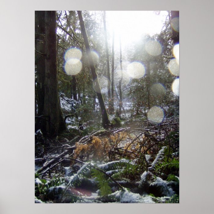 Forest Sun Rays in the Snow #68 Poster