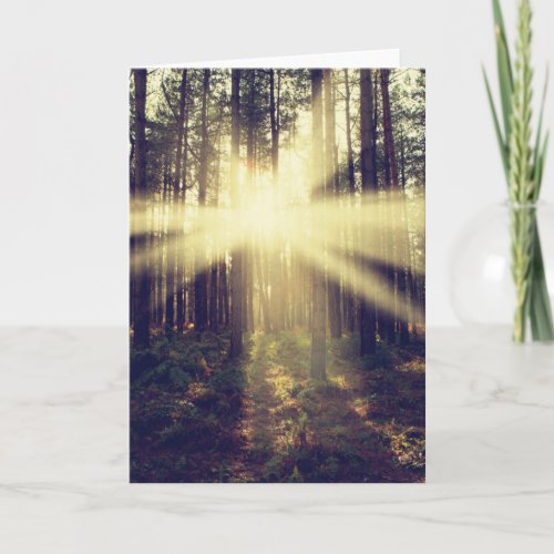 Forest Sunbeams Card