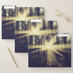 Forest Sunbeams File Folder