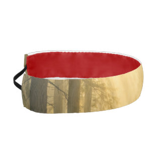 Forest Sunlight –  Grosgrain Non‑Slip Headband
